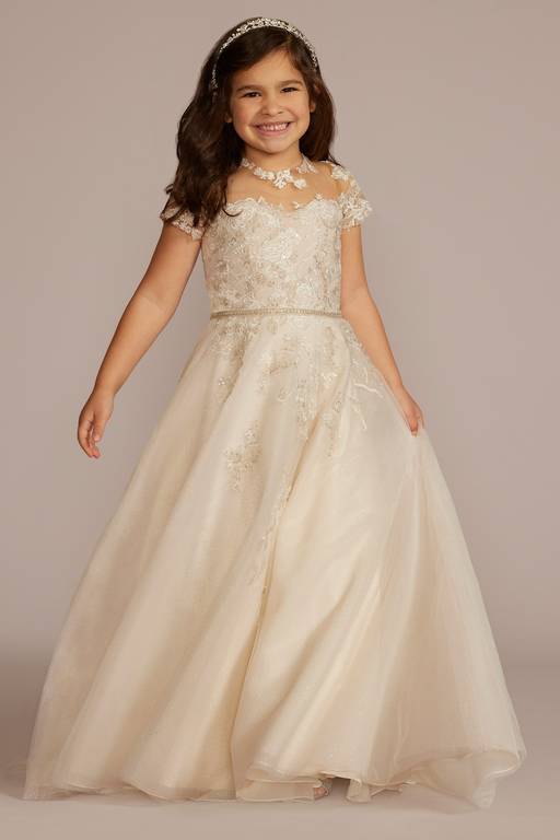 Elegant A-Line Illusion Neck Cap Sleeve Lace Tulle Flower Girl Dress