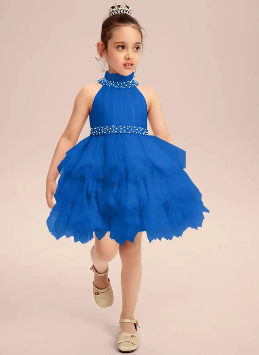 Elegant A-Line High Neck Sleeveless Zipper Back Knee Length Party Dress