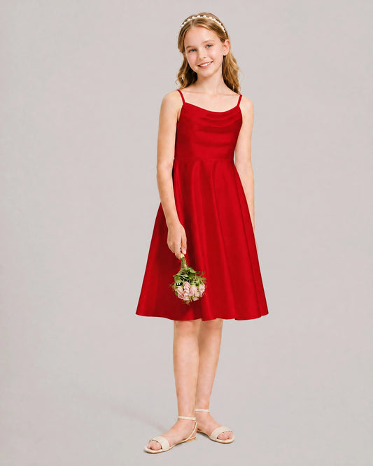 Elegant A Line Cowl Neck Sleeveless Zip Back Knee Length Dress Wedding