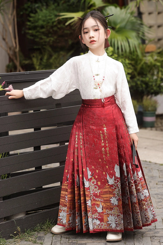 Elegant A Line Mandarin Collar Long Sleeve Back Zip Maxi Chinese Dress