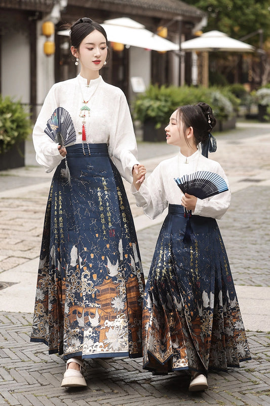 Elegant A Line Mandarin Collar Long Sleeve Closed Back Maxi Hanfu Dress