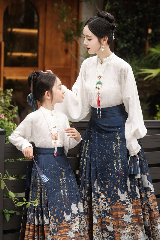 Elegant A Line Mandarin Collar Long Sleeve Closed Back Maxi Hanfu Dress