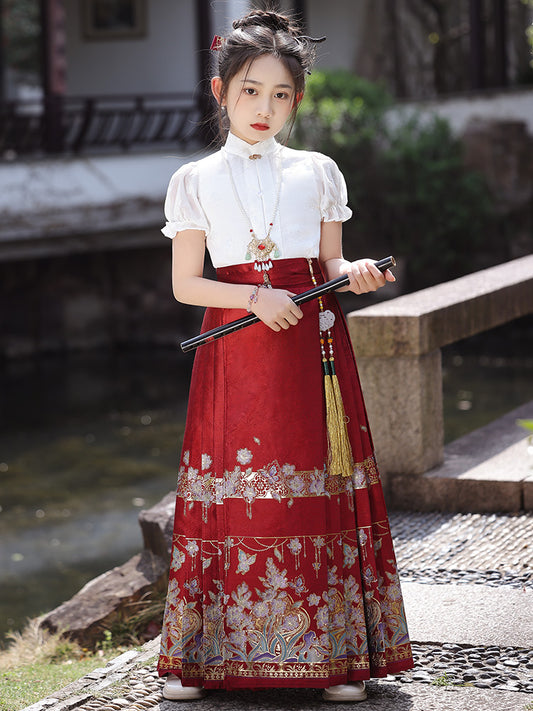 Elegant A Line Mandarin Collar Puff Sleeve Classic Back Maxi Festival Dress