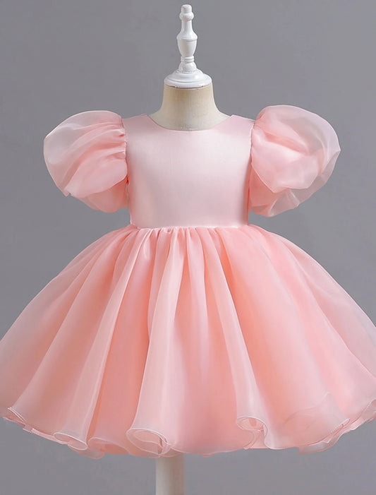 Elegant Puff Sleeve A-Line Flower Girl Dress with Back Bow