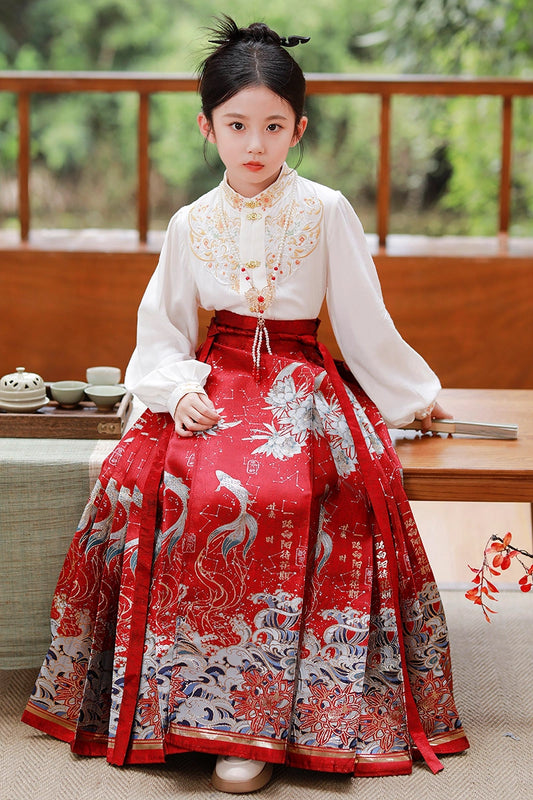 Elegant A Line Mandarin Collar Long Sleeve Back Zip Maxi Girls Dress