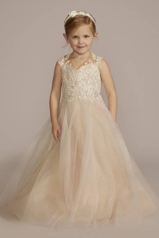 Romantic A-Line V-Neck Sleeveless Lace Tulle Open Back Flower Girl Dress