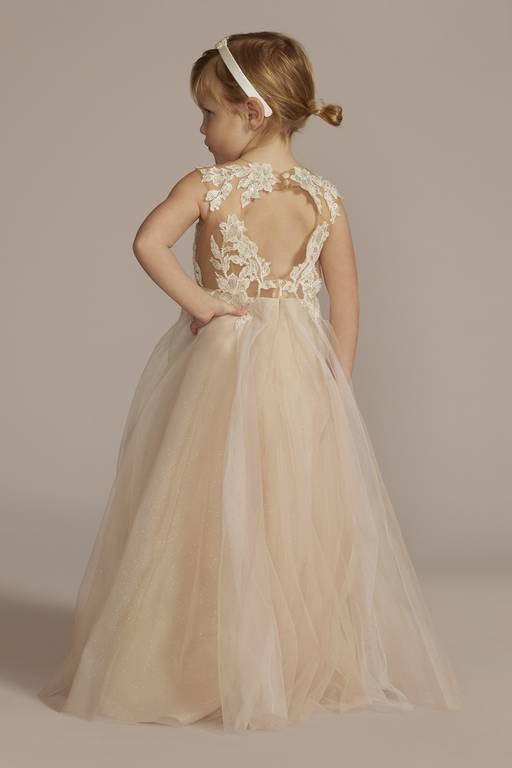 Romantic A-Line V-Neck Sleeveless Lace Tulle Open Back Flower Girl Dress